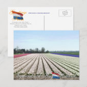 Egmond aan den Hoef Bulb Flowers Holland Briefkaar Briefkaart (Voorkant / Achterkant)
