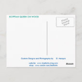 EGPTIAN QUEEN ON WOOD BRIEFKAART (Achterkant)
