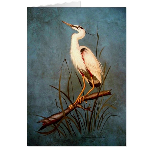 Egret (Voorkant)