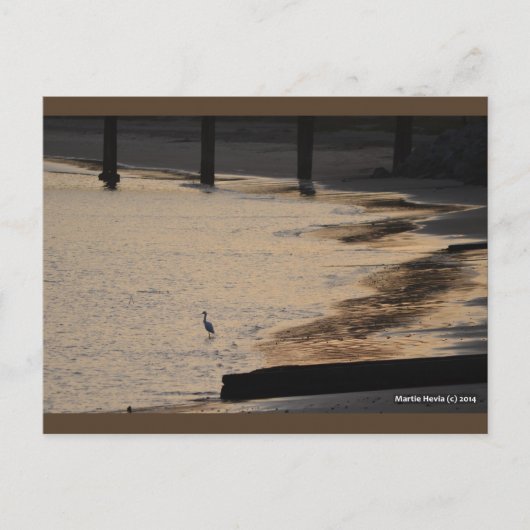 Egret aan wal II | Blue Beach Song™-Briefkaart Briefkaart (Voorkant)