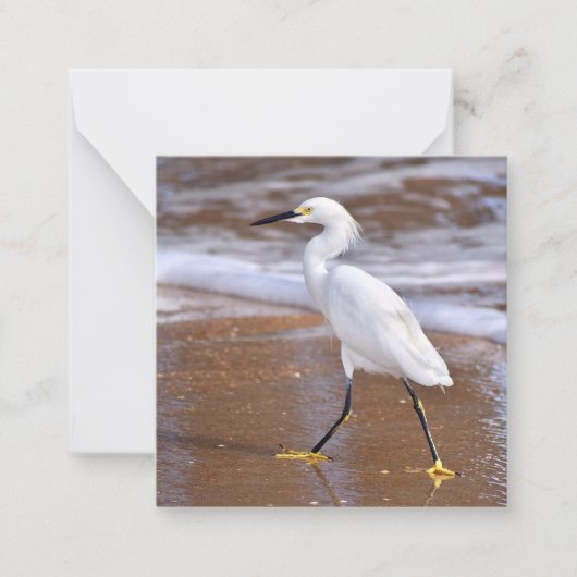 Egret at the Beach mini notecard set Notitiekaartje (Voorkant)
