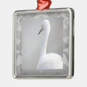 Egret Bird Photo Ornament (Links)