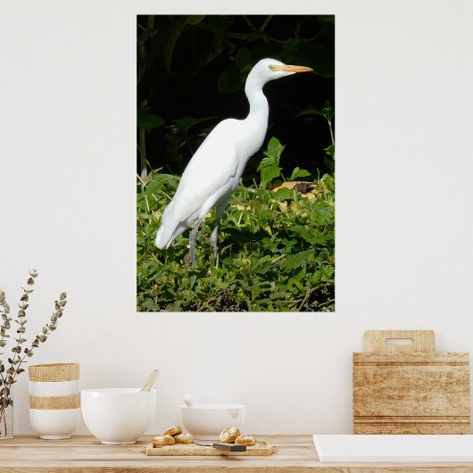 Egret Bird Poster (Keuken)