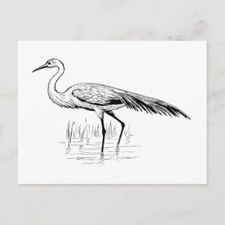 egret briefkaart