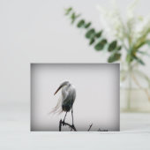 egret briefkaart (Staand voorkant)