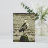 Egret Briefkaart (Staand voorkant)