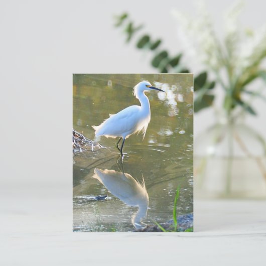 Egret briefkaart (Staand voorkant)