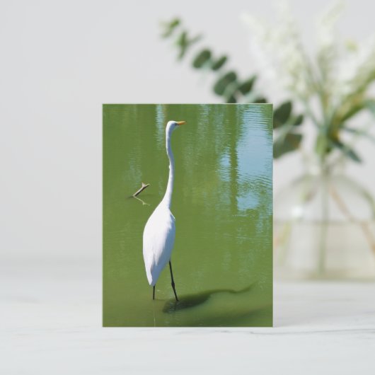 Egret Briefkaart (Staand voorkant)