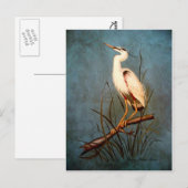 Egret Briefkaart (Voorkant / Achterkant)