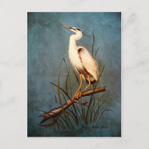 Egret Briefkaart