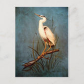 Egret Briefkaart (Voorkant)