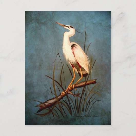 Egret Briefkaart (Voorkant)