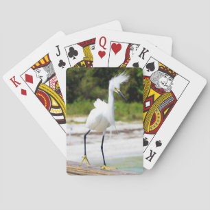 Egret Deck van de voorzijde van kaarten