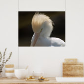 Egret die naar je Poster kijkt (Keuken)
