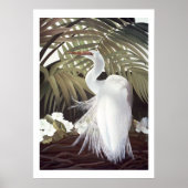 Egret en Palms Poster (Voorkant)