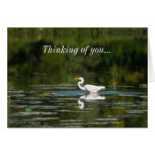 Egret Fish Feast Denking You Kaart (Voorkant Horizontaal)