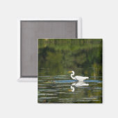Egret Fish Feast Magneet (Voorkant / Achterkant)