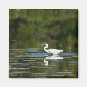 Egret Fish Feast Magneet