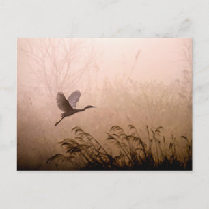 Egret Flying in Fog at Sunrise Briefkaart