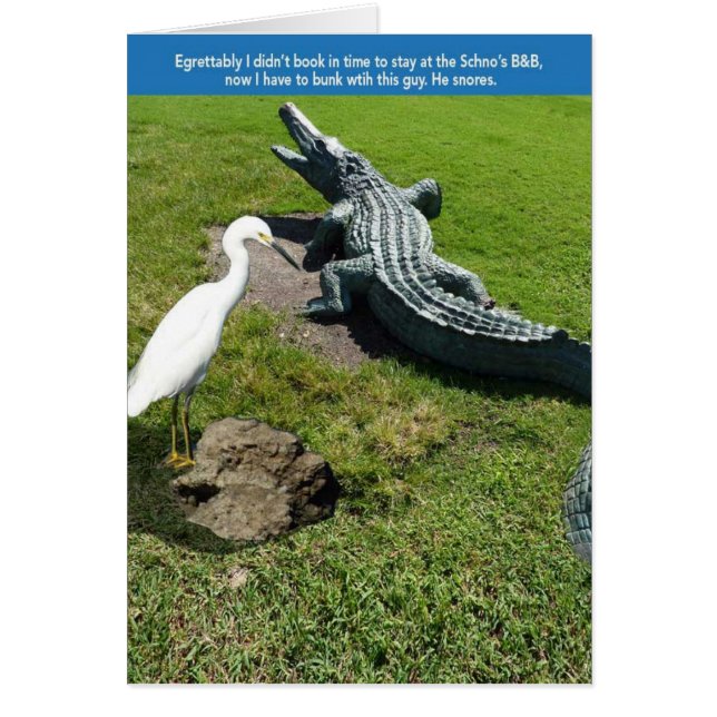 Egret & Gator (Voorkant)