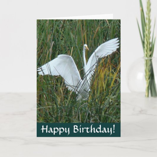 Egret Happy Birthday Kaart (Voorkant)