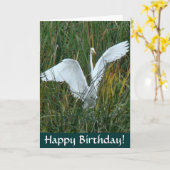 Egret Happy Birthday Kaart (Gele Bloem)