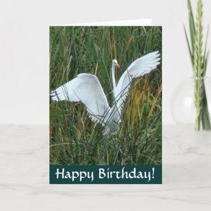 Egret Happy Birthday-kaart Kaart