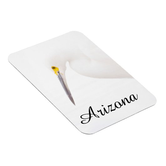 Egret headshot, Arizona Magneet (Rechterzijde)
