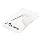 Egret headshot, Arizona Magneet (Linkerzijde)