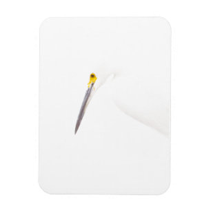 Egret headshot magneet