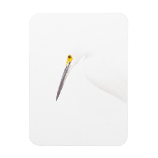 Egret headshot magneet (Verticaal)
