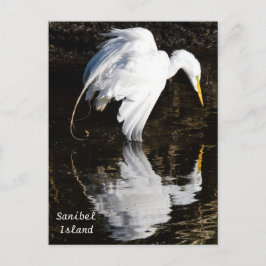 Egret in Bloom Briefkaart
