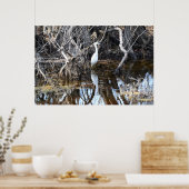 Egret in Louisiana Bayou - Poster (Keuken)