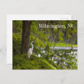 Egret in Wilmington, NC Briefkaart (Voorkant / Achterkant)