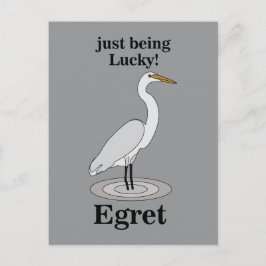 Egret Lucky Bird Briefkaart
