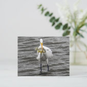 Egret met Lunch Briefkaart (Staand voorkant)