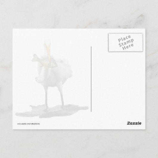 Egret met Lunch Briefkaart (Achterkant)