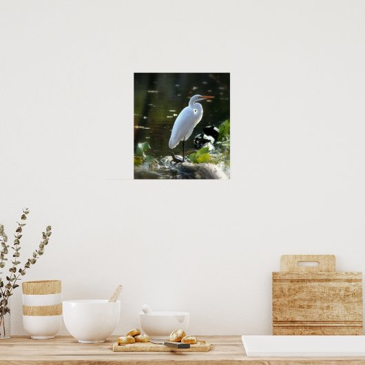 Egret met schildpadden poster (Keuken)
