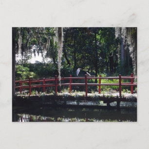 Egret on Red Bridge Briefkaart