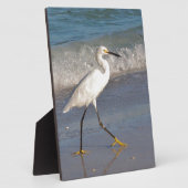 Egret op het strand fotoplaat (Zijkant)