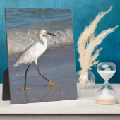 Egret op het strand fotoplaat (Zijkant)