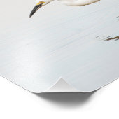 Egret op stille vijver foto afdruk (Hoek)