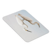 Egret op stille vijver magneet (Rechterzijde)