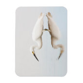 Egret op stille vijver magneet (Verticaal)