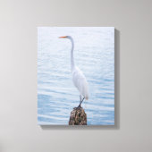 Egret Perch Canvas Afdruk (Voorkant)