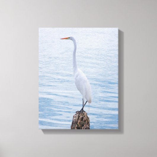 Egret Perch Canvas Afdruk (Voorkant)