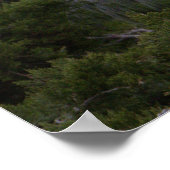 Egret Photo Poster (Hoek)