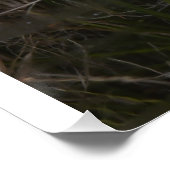 Egret & Reflection Fotoglanzend Poster (Hoek)