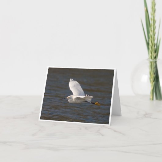 Egret tijdens de vlucht kaart (Voorkant)