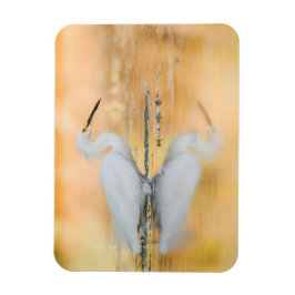 Egret wanneer de Zon plaatst Magneet